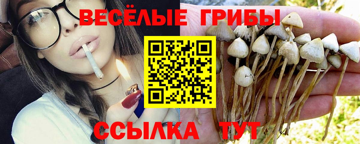 Гудермес  Псилоцибиновые грибы GOLDEN TEACHER  Вход с VPN 