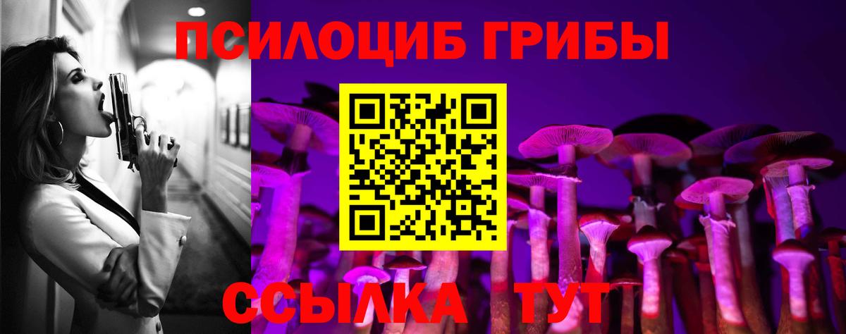 Галлюциногенные грибы Cubensis Гудермес