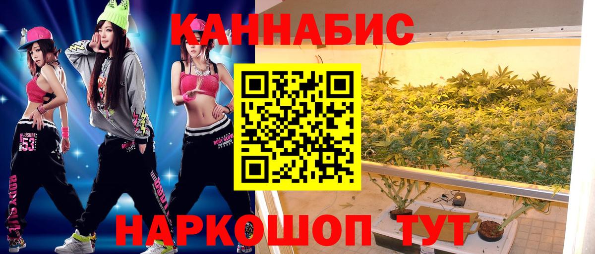 Конопля планчик Гудермес